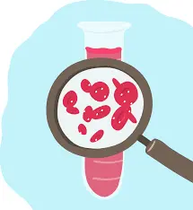 Расшифровка общего анализа крови